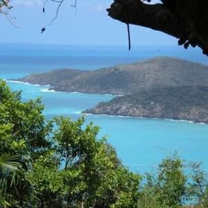 Meet your Posher, Janice